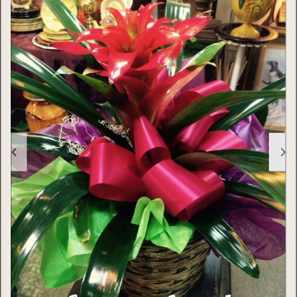 Hammond Florist by John